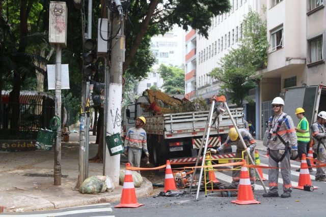 Imagem mostra funcionários da Enel atendendo chamado após queda de árvore em fiação na rua