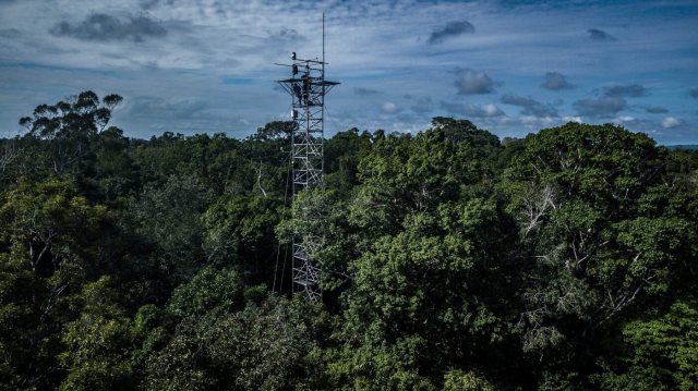 Torre do experimento AmazonFACE em área de floresta preservada no Amazonas em imagem de 2019