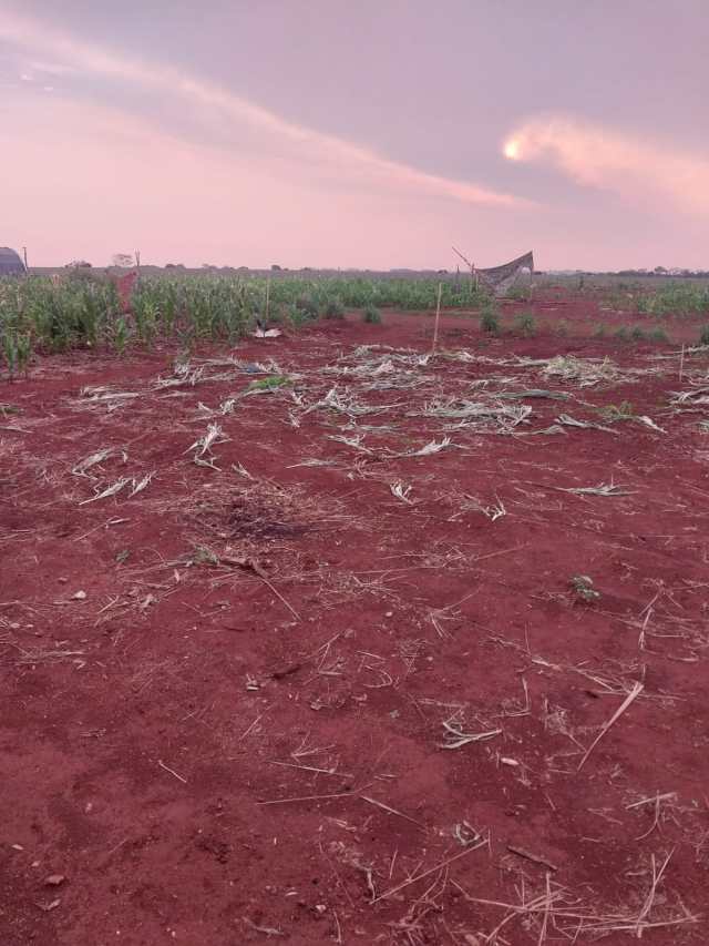 Terra devastada após avião passar com agrotóxicos