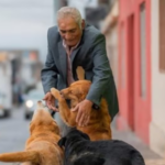 Aos 75 anos, idoso é aprovado na universidade para cursar medicina veterinária: “Quero ajudar os animais”