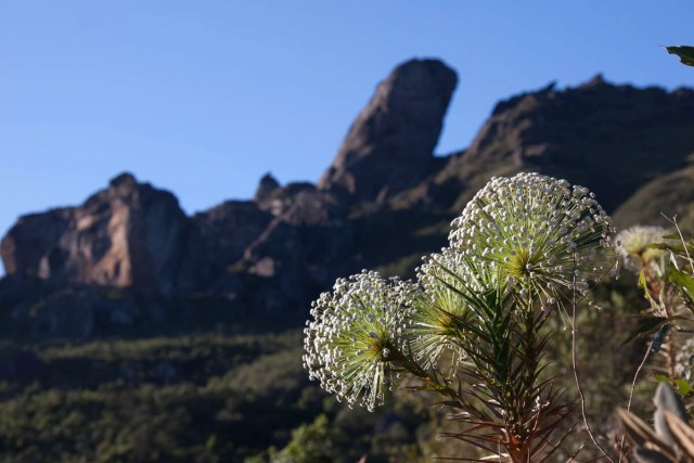 Área de Proteção Ambiental Cachoeira das Andorinhas em Ouro Preto, Minas Gerais