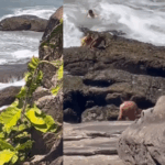 Salva-vidas resgatam menino levado pela correnteza do mar em SP; vídeo impressionante