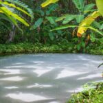 Top 8 destinos brasileiros imperdíveis para você explorar e conhecer em 2025