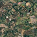 Escola infantil resiste contra instalação de termelétrica no coração do cerrado no DF