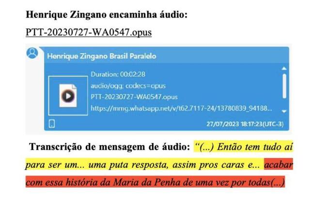 Transcrição de mensagem de áudio enviado por Henrique Zingano, produtor do documentário da Brasil Paralelo