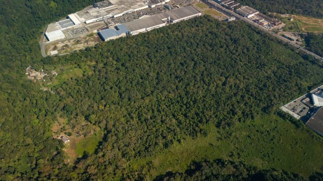 Vegetação de Mata Atlântica que está no terreno é remanescente do Parque Estadual Xixová-Japuí