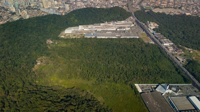 Vegetação de Mata Atlântica que está no terreno é remanescente do Parque Estadual Xixová-Japuí