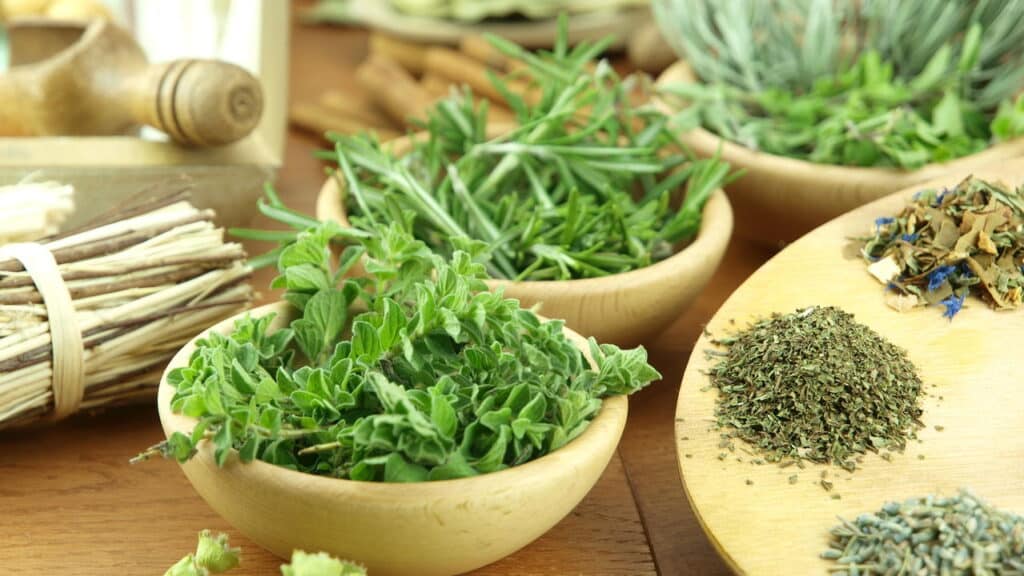 Quais plantas tem ação anti-inflamatória e bactericida