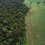 COP30: Brasil aposta em fundo para preservar florestas contra impasse sobre financiamento