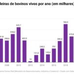 Projeto tenta proibir transporte de animais vivos e evitar tortura em mercado de R$ 2 bi