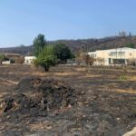 Incêndios: entre cinzas, promessas e a retórica da resiliência